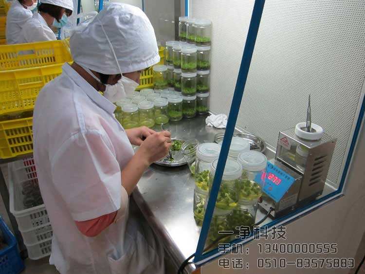 食用菌工廠無菌潔凈室凈化裝修設計注意事項